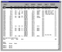 Status Window